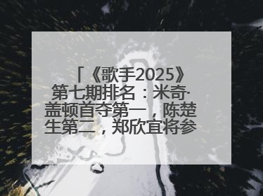 《歌手2025》第七期排名：米奇·盖顿首夺第一，陈楚生第二，郑欣宜将参加下一轮张榜赛