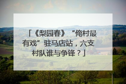 《梨园春》“俺村最有戏”驻马店站，六支村队谁与争锋？