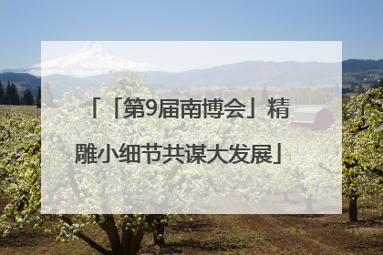 「第9届南博会」精雕小细节共谋大发展