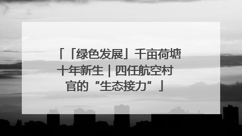 「绿色发展」千亩荷塘 十年新生｜四任航空村官的“生态接力”