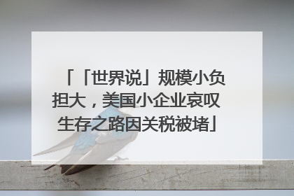 「世界说」规模小负担大，美国小企业哀叹生存之路因关税被堵