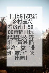 「城市更新· 乡村振兴看济南」5000亩稻田玩起黑科技 济阳“黄河·稻乡湾”靠“非遗+露营”火出圈