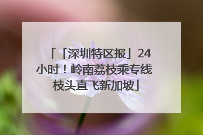 「深圳特区报」24小时！岭南荔枝乘专线 枝头直飞新加坡