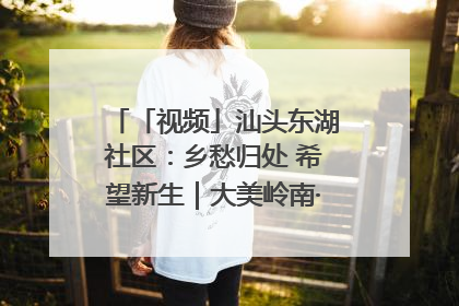 「视频」汕头东湖社区：乡愁归处 希望新生｜大美岭南·百村焕新记