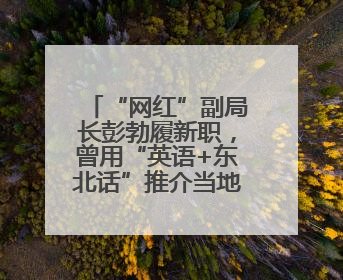 “网红”副局长彭勃履新职，曾用“英语+东北话”推介当地大米