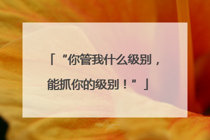 “你管我什么级别，能抓你的级别！”