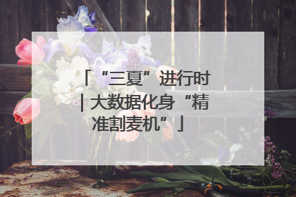 “三夏”进行时｜大数据化身“精准割麦机”