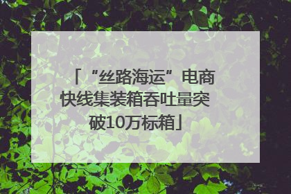 “丝路海运”电商快线集装箱吞吐量突破10万标箱