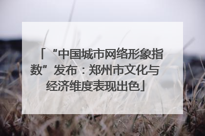 “中国城市网络形象指数”发布：郑州市文化与经济维度表现出色