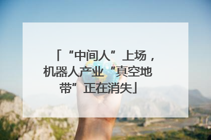 “中间人”上场，机器人产业“真空地带”正在消失