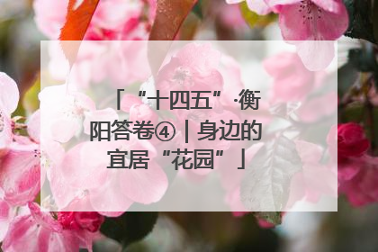 “十四五”·衡阳答卷④｜身边的宜居“花园”