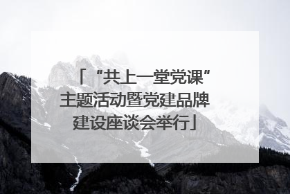 “共上一堂党课”主题活动暨党建品牌建设座谈会举行