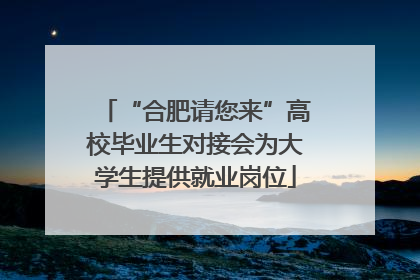 “合肥请您来”高校毕业生对接会为大学生提供就业岗位