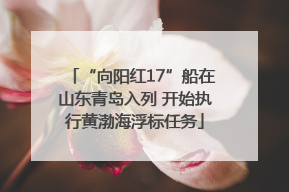 “向阳红17”船在山东青岛入列 开始执行黄渤海浮标任务