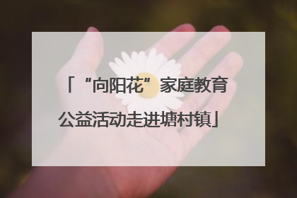“向阳花”家庭教育公益活动走进塘村镇