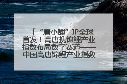 “唐小鲤”IP全球首发！高唐携锦鲤产业指数布局数字赛道——中国高唐锦鲤产业指数暨“唐小鲤”IP全球首发仪式在杭州举行