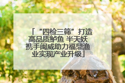“四检三筛”打造高品质鲈鱼 半天妖携手闽威助力福鼎渔业实现产业升级