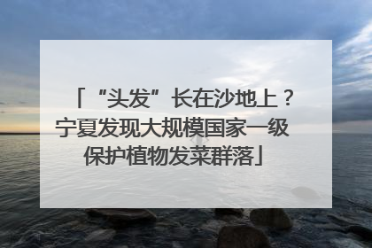 “头发”长在沙地上？宁夏发现大规模国家一级保护植物发菜群落