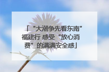 “大潮争先看东南”福建行 感受“放心消费”的满满安全感