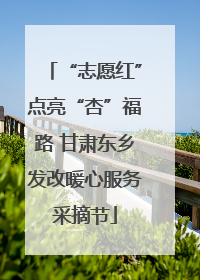 “志愿红”点亮“杏”福路 甘肃东乡发改暖心服务采摘节