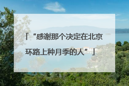 “感谢那个决定在北京环路上种月季的人”