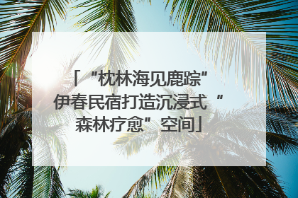 “枕林海见鹿踪” 伊春民宿打造沉浸式“森林疗愈”空间