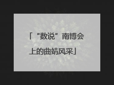 “数说”南博会上的曲靖风采