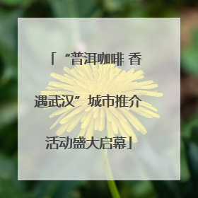 “普洱咖啡 香遇武汉”城市推介活动盛大启幕