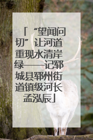 “望闻问切”让河道重现水清岸绿——记郓城县郓州街道镇级河长孟泓辰