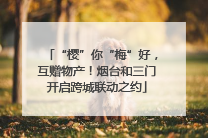 “樱”你“梅”好，互赠物产！烟台和三门开启跨城联动之约