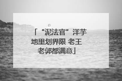 “泥法官”洋芋地里划界限 老王老郭都满意