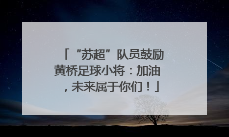 “苏超”队员鼓励黄桥足球小将：加油，未来属于你们！