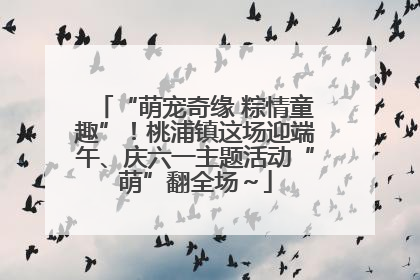 “萌宠奇缘 粽情童趣”！桃浦镇这场迎端午、庆六一主题活动“萌”翻全场～