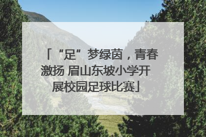 “足”梦绿茵，青春激扬 眉山东坡小学开展校园足球比赛