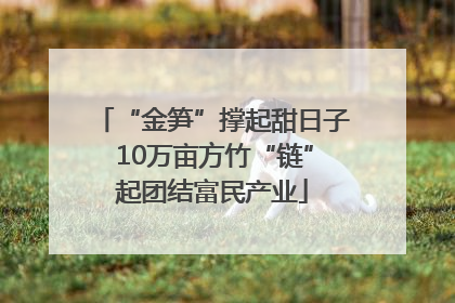 “金笋”撑起甜日子 10万亩方竹“链”起团结富民产业
