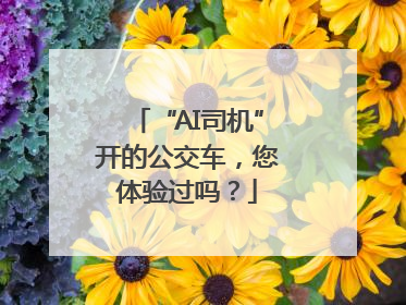 “AI司机”开的公交车，您体验过吗？