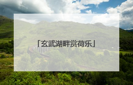 玄武湖畔赏荷乐