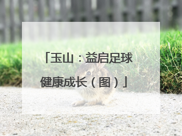 玉山：益启足球 健康成长（图）