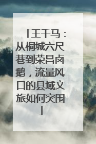 王千马：从桐城六尺巷到荣昌卤鹅，流量风口的县域文旅如何突围