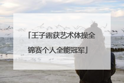 王子露获艺术体操全锦赛个人全能冠军