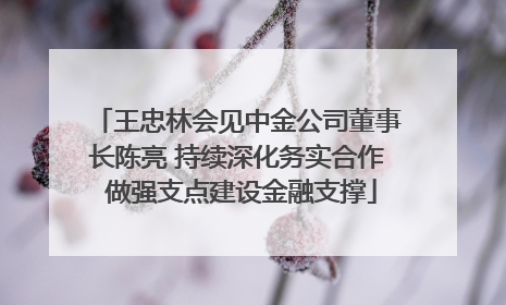 王忠林会见中金公司董事长陈亮 持续深化务实合作 做强支点建设金融支撑
