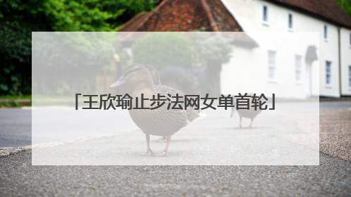 王欣瑜止步法网女单首轮