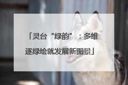 灵台“绿韵”：多维逐绿绘就发展新图景
