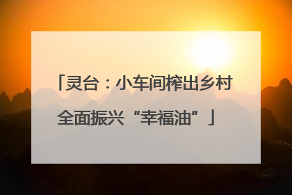 灵台：小车间榨出乡村全面振兴“幸福油”