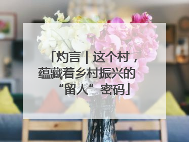 灼言｜这个村，蕴藏着乡村振兴的“留人”密码