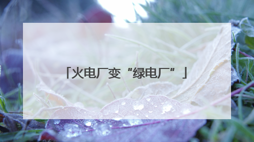火电厂变“绿电厂”