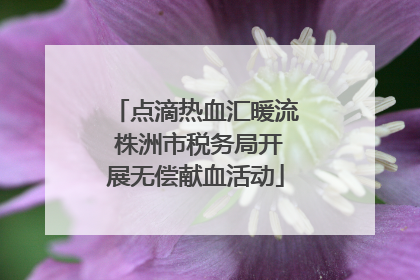 点滴热血汇暖流 株洲市税务局开展无偿献血活动