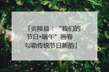 炎陵县：“我们的节日•端午”画卷 勾勒传统节日新韵
