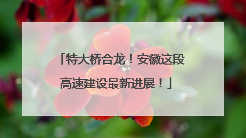 特大桥合龙！安徽这段高速建设最新进展！