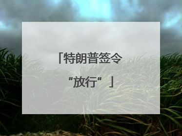 特朗普签令“放行”